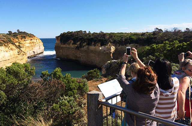 [땡스투어] 그레이트 오션로드 + 오트웨이 국립공원 & 원시림 트래킹 단독 투어