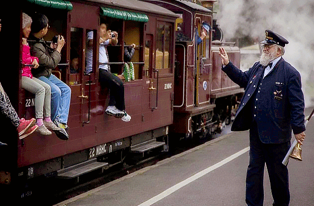 [땡스투어] 퍼핑빌리 증기기관차 & 펭귄 퍼레이드, 야생 왈라비 사파리 투어