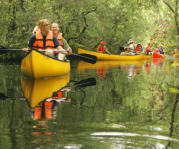 activity_detail_image