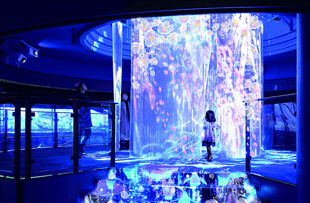 Yokohama Hakkeijima Sea Paradise Ticket