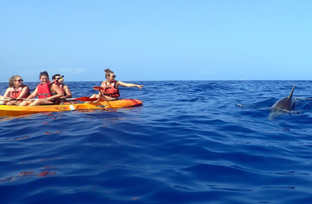 activity_detail_image