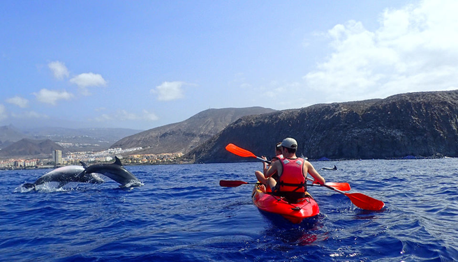 Tenerife Kayaking & Snorkeling Tour with Turtles