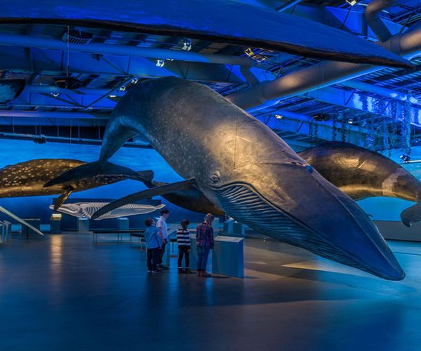 activity_detail_image