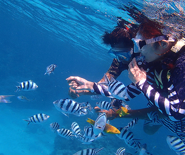 activity_detail_image