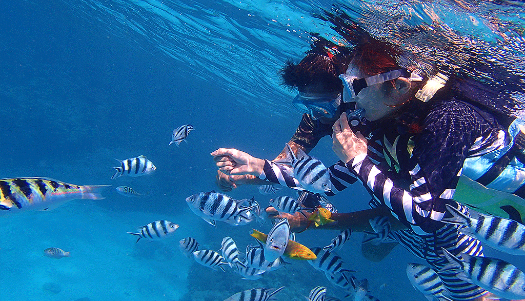 오키나와 케라마 제도 스노클링 (한국어 진행)