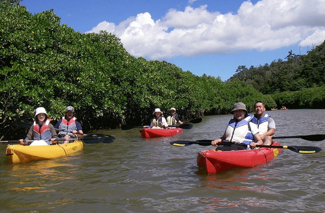 沖縄 比謝川マングローブ サンセットカヤックツアー