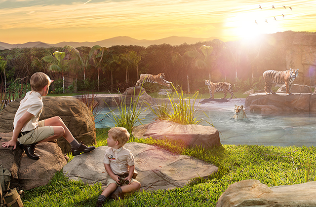 골드코스트 드림월드 입장권