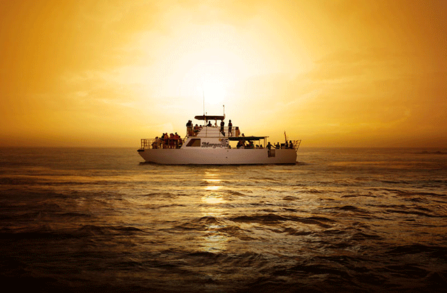 괌 BIG 빅 선셋 디너 & 돌핀 크루즈 투어