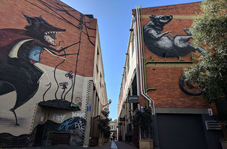 activity_detail_image