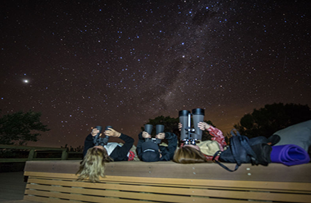 퍼스 피나클스 사막 투어