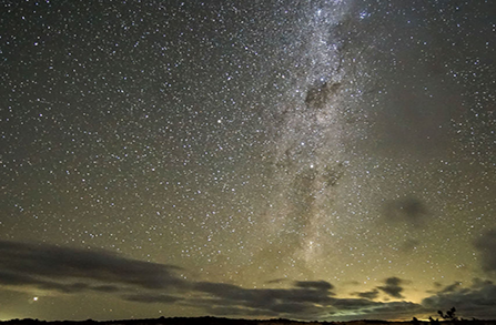 퍼스 피나클스 사막 투어