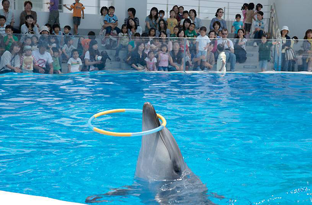 九十九島パールシーリゾート 海きらら 九十九島水族館 電子チケット