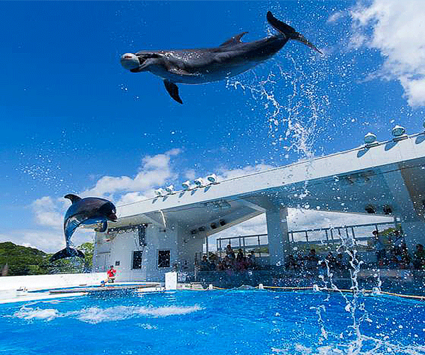 activity_detail_image