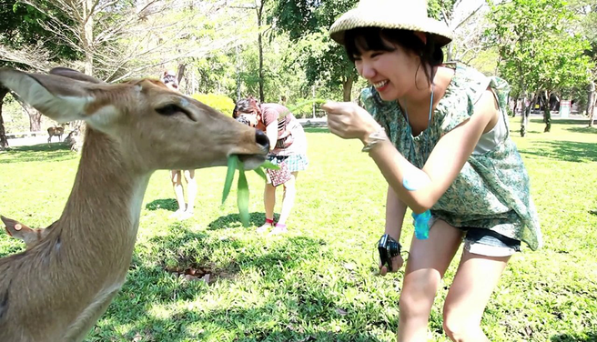파타야 카오키여우 오픈주 투어 (호텔 픽업 포함)