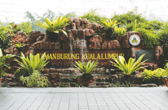 クアラルンプール バードパーク入場チケット ワグ Waug