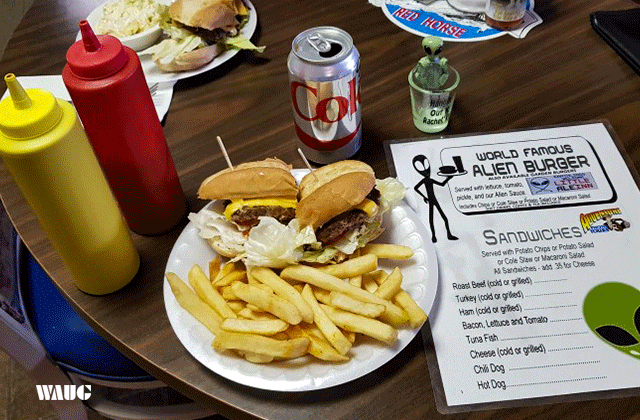 에어리어 51 UFO 투어 - UFO의 미스테리를 찾아서