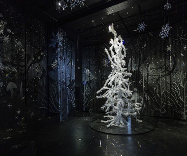 activity_detail_image