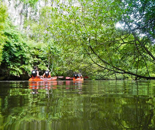 activity_detail_image