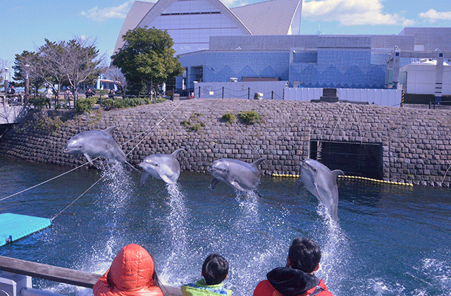 Kagoshima Io World Aquarium Ticket