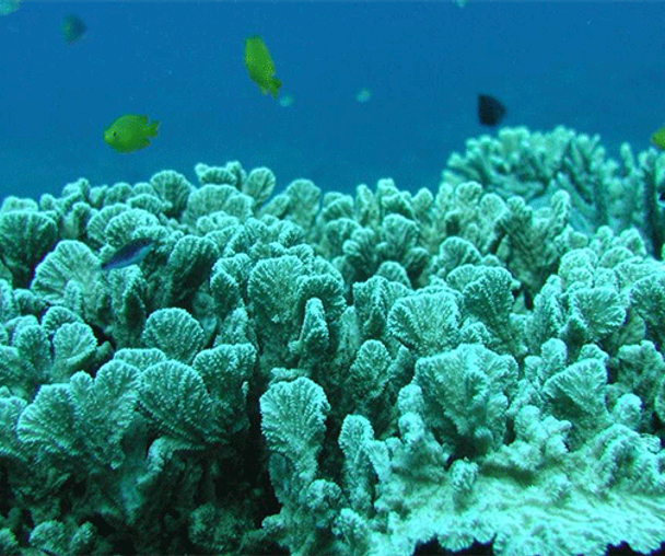 activity_detail_image