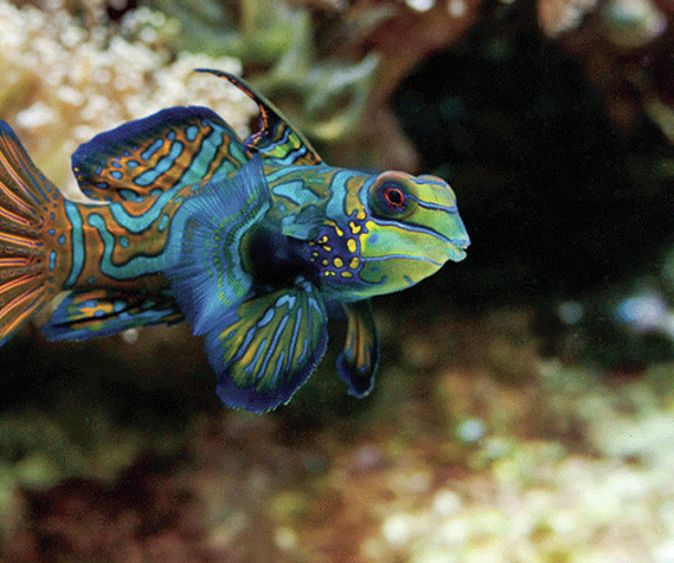 activity_detail_image