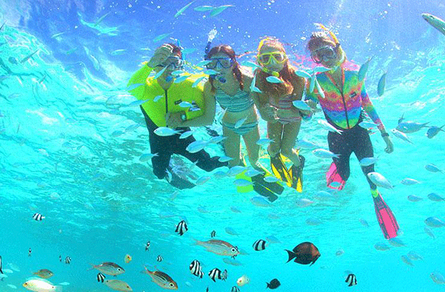 괌 피쉬아이 마린파크 스노클링 & 돌핀크루즈 투어 (런치 뷔페 포함)