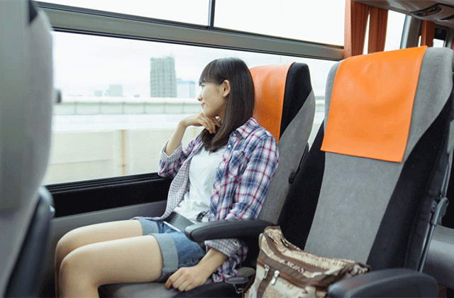 Tokyo Haneda Airport Limousine Bus e-Ticket