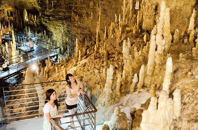 오키나와 월드 입장권