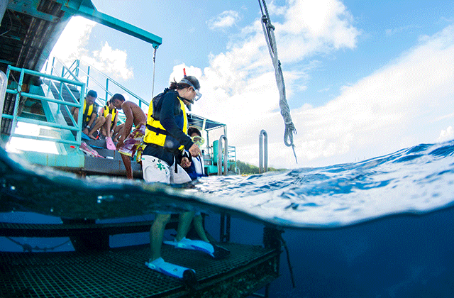 괌 피쉬아이 마린파크 스노클링 & 돌핀크루즈 투어 (런치 뷔페 포함)