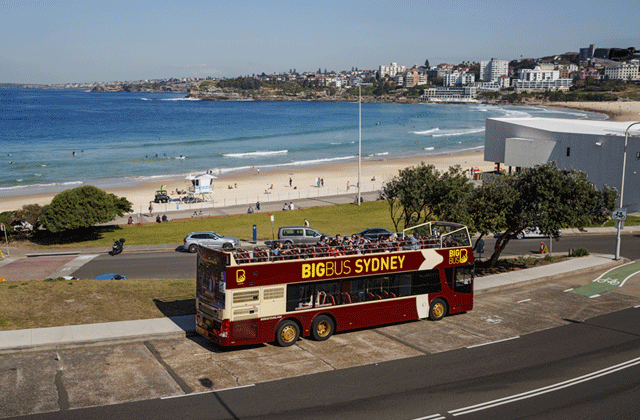 Sydney Big Bus Hop-on Hop-off City Tour (1/2 Day Ticket)