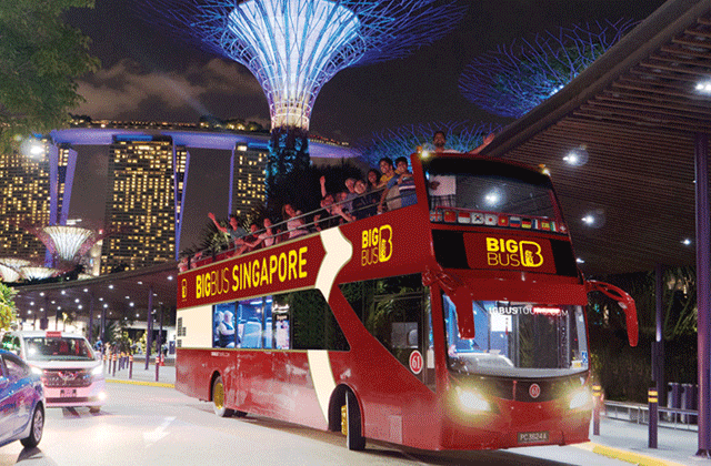 Singapore Big Bus City Tour 1/2 Day Ticket (Night Tour)