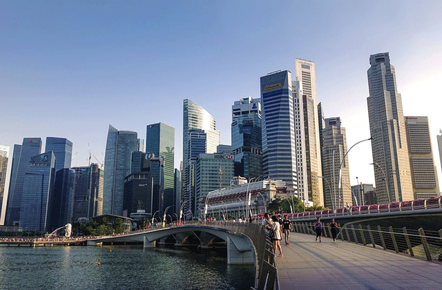 Singapore Big Bus City Tour 1/2 Day Ticket (Night Tour)