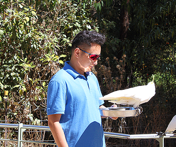 activity_detail_image