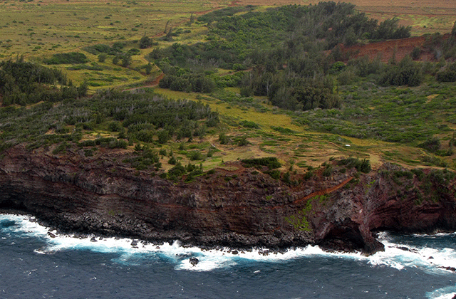 하와이 블루 하와이안 헬리콥터 투어 (코스 선택 가능)