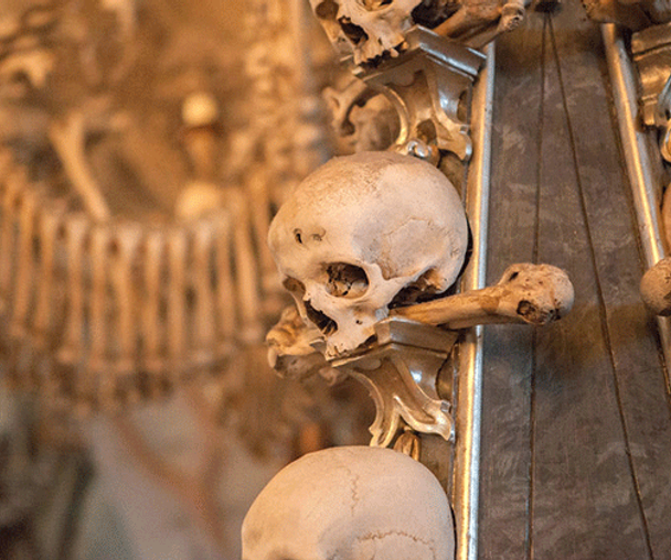 activity_detail_image