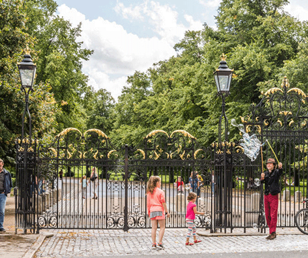 activity_detail_image