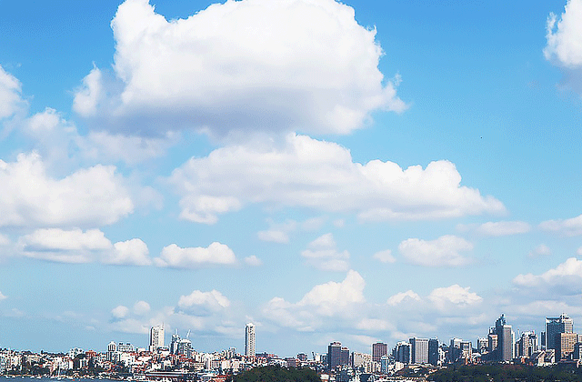 [지그재그투어] 시드니 청춘 워킹 투어