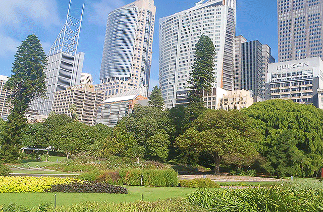 [지그재그투어] 시드니 청춘 워킹 투어