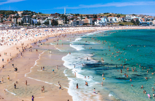 [지그재그투어] 시드니 공항 픽업 + 동부 해안 투어