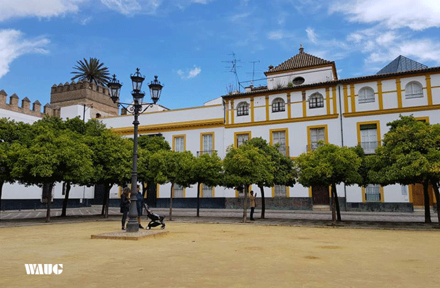 세비야 워킹 투어 (알카사르 궁전, 대성당, 황금의 탑)