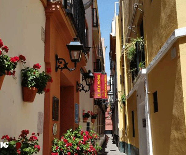 activity_detail_image