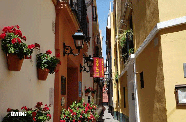 세비야 워킹 투어 (알카사르 궁전, 대성당, 황금의 탑)