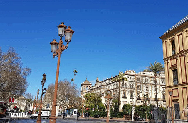 세비야 워킹 투어 (알카사르 궁전, 대성당, 황금의 탑)