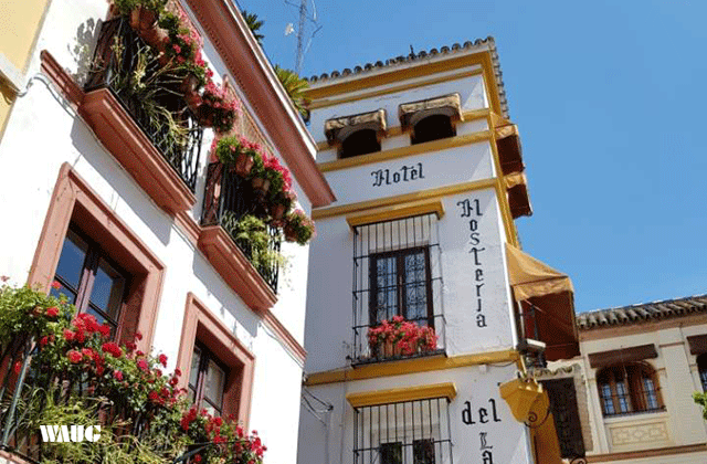 세비야 시내 & 대성당 내부 투어 (18년 경력 가이드 / 소수정예)