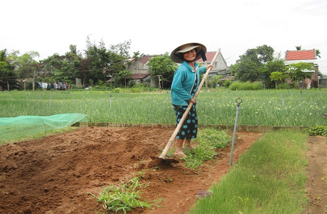 호이안 빌리지 스쿠터 투어