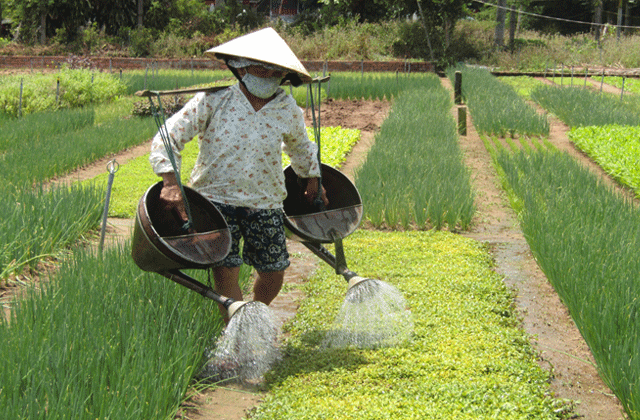 호이안 빌리지 스쿠터 투어