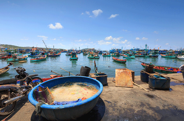 다낭 셰프 라이더와 함께 하는 스쿠터 씨푸드 디스커버리 투어 (WAUG Exclusive)