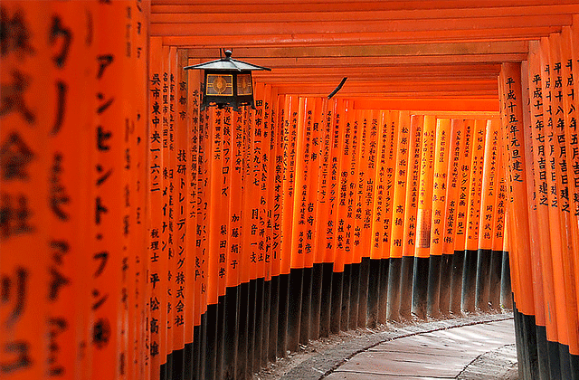 [엔데이트립] 교토 아라시야마 버스투어 - 1명부터 출발!