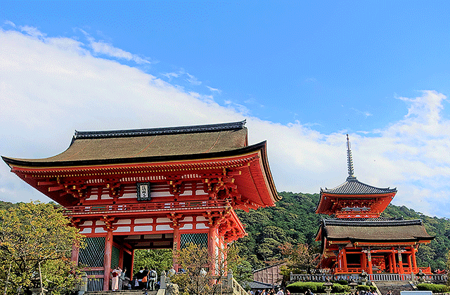 [엔데이트립] 교토 아라시야마 버스투어 - 1명부터 출발!