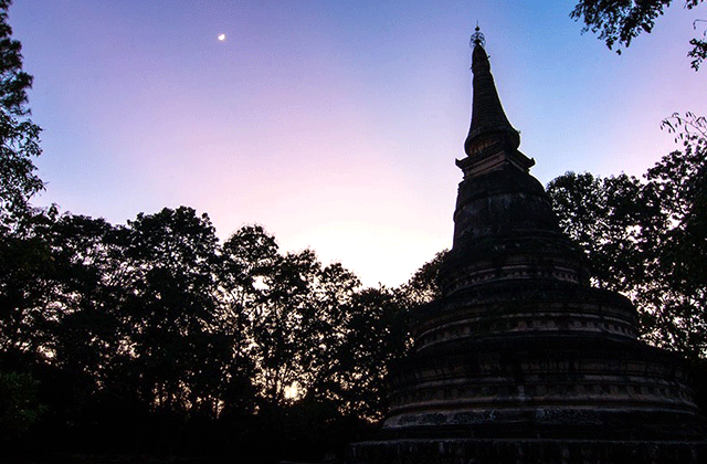 밤에 만나는 치앙마이 도이수텝 & 왓우몽 사원 야경 투어